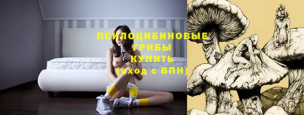 не бодяженный Алексин