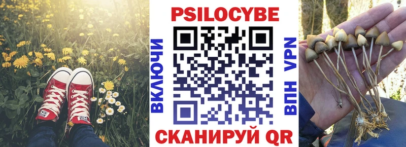 цены   площадка как зайти  Псилоцибиновые грибы GOLDEN TEACHER  Аткарск 